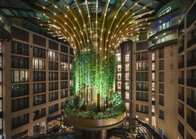THE LIVING TREE